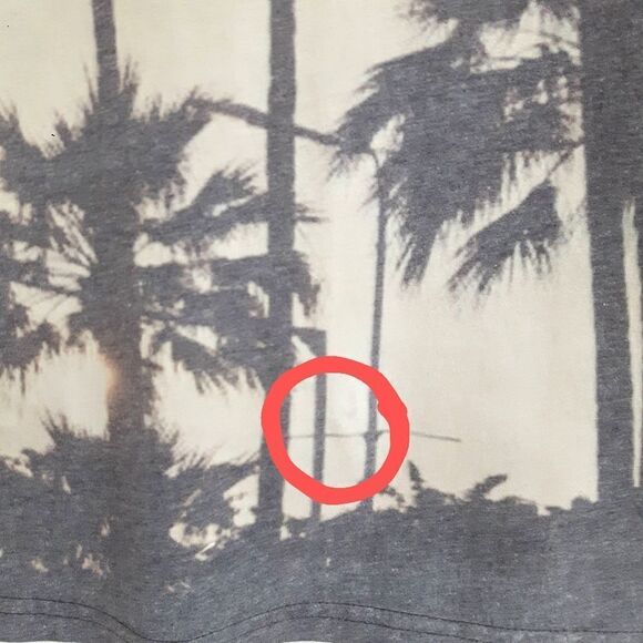 2/$35 SALE GRAPHIC Palm Tree print Tshirt.  Men's S EUC - Picture 7 of 7